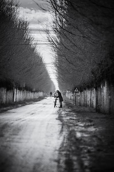 vladimir nikolic-beloblato2