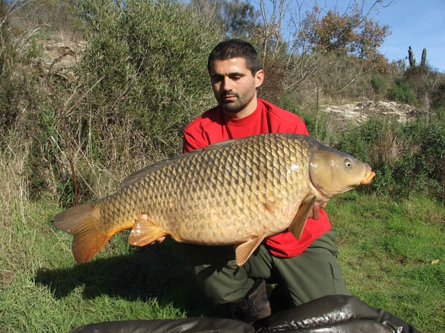 Bojan Bojanić: šestrostruki šampion Srbije u šaranskom ribolovu