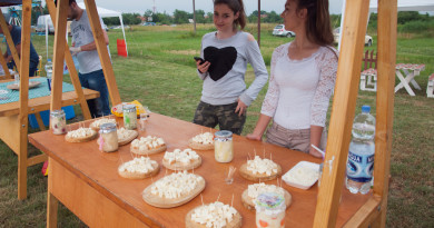 SIRIJADA U BOKI: Najbolji sirevi i kolači sa sirom iz Banata SIRIJADA U BOKI: Najbolji sirevi i kolači sa sirom iz Banata
