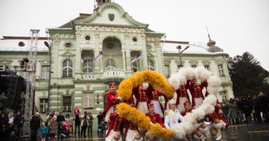 MIMOZE ZAMIRISALE ZRENJANINOM: Dah južnog Jadrana najavio pedeseti „Praznik mimoze“ MIMOZE ZAMIRISALE ZRENJANINOM: Dah južnog Jadrana najavio pedeseti „Praznik mimoze“