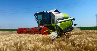 NA IMANJU „MIHAJLOVO” TIPIČNA SLIKA OVOGODIŠNJE ŽETVE NA IMANJU „MIHAJLOVO” TIPIČNA SLIKA OVOGODIŠNJE ŽETVE