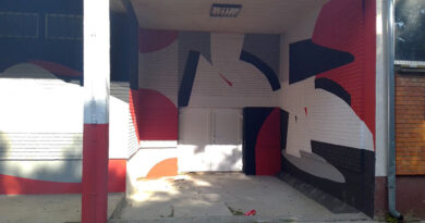 UMETNIK IZ BRAZILA OSLIKAO MURAL NA ZGRADI DOMA KULTURE U LUKIĆEVU UMETNIK IZ BRAZILA OSLIKAO MURAL NA ZGRADI DOMA KULTURE U LUKIĆEVU